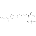 anti-HYAL1 antibody (Hyaluronidase-1) (N-Term)