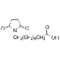 anti-HYAL1 antibody (Hyaluronidase-1) (N-Term)