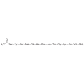anti-HYAL1 antibody (Hyaluronidase-1) (N-Term)