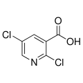anti-HYAL1 antibody (Hyaluronidase-1) (N-Term)