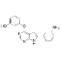 anti-HYAL1 antibody (Hyaluronidase-1) (N-Term)
