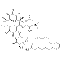 anti-HYAL1 antibody (Hyaluronidase-1) (N-Term)