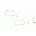 anti-HYAL1 antibody (Hyaluronidase-1) (N-Term)