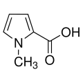 anti-HYAL1 antibody (Hyaluronidase-1) (N-Term)