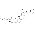 anti-HYAL1 antibody (Hyaluronidase-1) (N-Term)