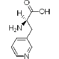 anti-HYAL1 antibody (Hyaluronidase-1) (N-Term)