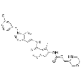 anti-HYAL1 antibody (Hyaluronidase-1) (N-Term)