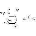 anti-HYAL1 antibody (Hyaluronidase-1) (N-Term)