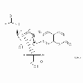 anti-HYAL1 antibody (Hyaluronidase-1) (N-Term)