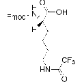 anti-HYAL1 antibody (Hyaluronidase-1) (N-Term)
