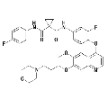 anti-HYAL1 antibody (Hyaluronidase-1) (N-Term)