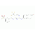 anti-HYAL1 antibody (Hyaluronidase-1) (N-Term)
