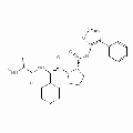 anti-HYAL1 antibody (Hyaluronidase-1) (N-Term)