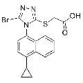 anti-HYAL1 antibody (Hyaluronidase-1) (N-Term)