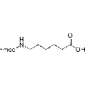 anti-HYAL1 antibody (Hyaluronidase-1) (N-Term)