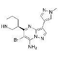 anti-HYAL1 antibody (Hyaluronidase-1) (N-Term)