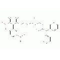 anti-HYAL1 antibody (Hyaluronidase-1) (N-Term)