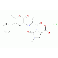 anti-HYAL1 antibody (Hyaluronidase-1) (N-Term)