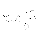 anti-HYAL1 antibody (Hyaluronidase-1) (N-Term)