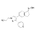 anti-HYAL1 antibody (Hyaluronidase-1) (N-Term)