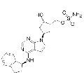 anti-HYAL1 antibody (Hyaluronidase-1) (N-Term)