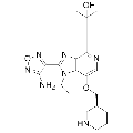 anti-HYAL1 antibody (Hyaluronidase-1) (N-Term)