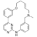 anti-HYAL1 antibody (Hyaluronidase-1) (N-Term)