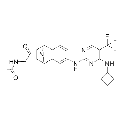 anti-HYAL1 antibody (Hyaluronidase-1) (N-Term)