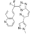 anti-HYAL1 antibody (Hyaluronidase-1) (N-Term)