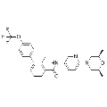 anti-HYAL1 antibody (Hyaluronidase-1) (N-Term)