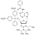 anti-HYAL1 antibody (Hyaluronidase-1) (N-Term)