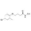 anti-HYAL1 antibody (Hyaluronidase-1) (N-Term)