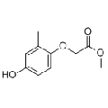 anti-HYAL1 antibody (Hyaluronidase-1) (N-Term)