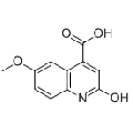 anti-HYAL1 antibody (Hyaluronidase-1) (N-Term)