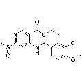 anti-HYAL1 antibody (Hyaluronidase-1) (N-Term)