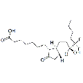 anti-HYAL1 antibody (Hyaluronidase-1) (N-Term)