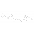 anti-HYAL1 antibody (Hyaluronidase-1) (N-Term)