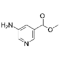 anti-HYAL1 antibody (Hyaluronidase-1) (N-Term)