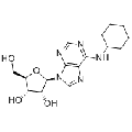 anti-HYAL1 antibody (Hyaluronidase-1) (N-Term)