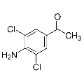 anti-HYAL1 antibody (Hyaluronidase-1) (N-Term)