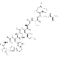 anti-HYAL1 antibody (Hyaluronidase-1) (N-Term)