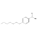 anti-HYAL1 antibody (Hyaluronidase-1) (N-Term)