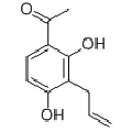 anti-HYAL1 antibody (Hyaluronidase-1) (N-Term)