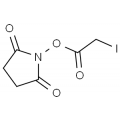 anti-HYAL1 antibody (Hyaluronidase-1) (N-Term)
