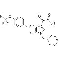 anti-HYAL1 antibody (Hyaluronidase-1) (N-Term)