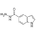anti-HYAL1 antibody (Hyaluronidase-1) (N-Term)