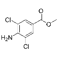 anti-HYAL1 antibody (Hyaluronidase-1) (N-Term)