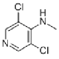 anti-HYAL1 antibody (Hyaluronidase-1) (N-Term)
