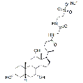 anti-HYAL1 antibody (Hyaluronidase-1) (N-Term)