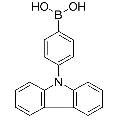 anti-HYAL1 antibody (Hyaluronidase-1) (N-Term)